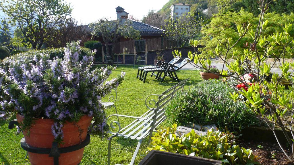 Casa Beatrice Daire Oliveto Lario Dış mekan fotoğraf